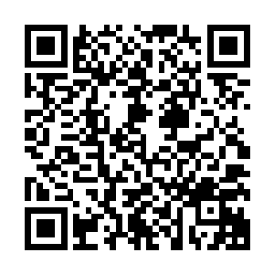 绝大多数的十级的强战士和一级的普通战兵也没有任何的区别二维码生成