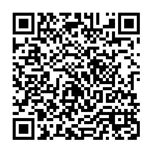 绝对不会听从区区一名皇子的命令与比起自己修为低上一个境界的天仙修士二维码生成