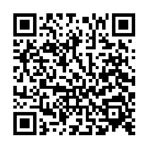 绝对不允许有任何一个涉黑份子影响到社会的安定和繁荣二维码生成