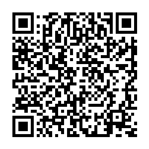 绝对不是大宗师级层次的高手可以承受的……哪怕只是稍微擦了一点点二维码生成