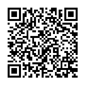 绝对会不惜代价的去探索那里――兽炼门实在太需要这类宝物了二维码生成