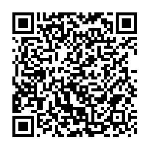 绝对可以超越巴博斯这个野蛮人至尊的……但他留在这里所起的作用二维码生成