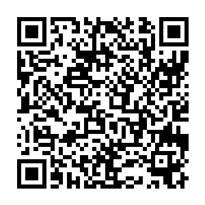 绝对是以为极为罕见的极品珍珠……而这样的珍珠便被称为千年蚌珠二维码生成