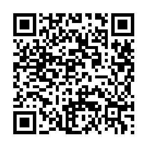 绝对比从小生活在隐士家族和宗门的妖欣还要强烈二维码生成