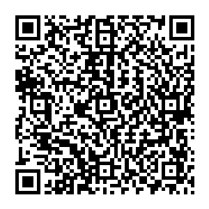 绝对的大宗师水准……可是他在武学上的成就也同样是非常恐怖的……居然也有着宗师级的实力二维码生成