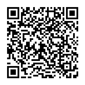 继续为安迪背书――虽然她其实也不知道安迪在大屏幕上会不会有上佳的表现二维码生成