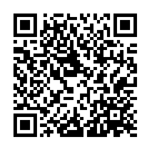 继而这些域主级墨巢衍生出来的领主级墨巢也难以独存二维码生成
