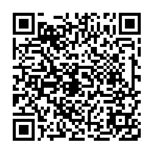 维京人放慢进攻节奏的举动似乎意味着他暂时没有找到攻破对手防御的方法二维码生成