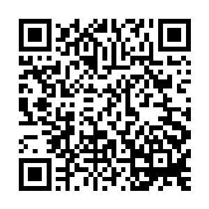 维多克已经在左言的脑海中将整个案件的情况大体过了一遍了二维码生成