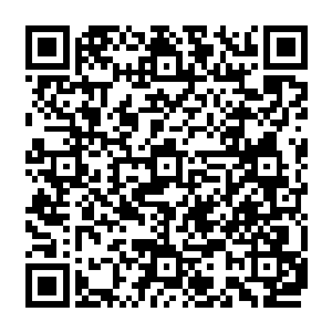 维护自然界的基本秩序和各物种之间的平衡是每一个守护之神教派的虔诚信徒应尽的职责二维码生成