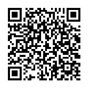 绵老强忍着一巴掌拍死面前那张冷冷淡淡小脸的冲动二维码生成
