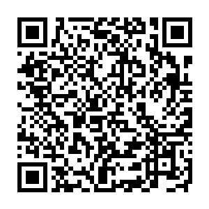 绵老笑眯眯的对流墨墨说完然后一道青色旋风卷起流墨墨就消失了二维码生成