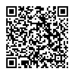绿水巨人的首领还在内部实行一套同样是从先祖时代流传至今的食物分配制度二维码生成