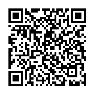 绿色镜面里平行垂直交叉的数轴上刻画着无数细小的刻度二维码生成