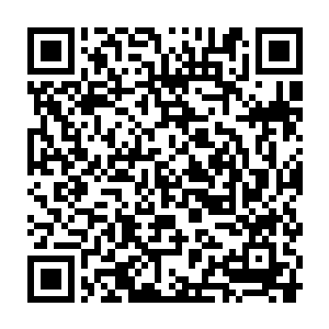 绿草门的太上大长老现在终于明白为什么云阵门肯拿出这么多的东西了二维码生成