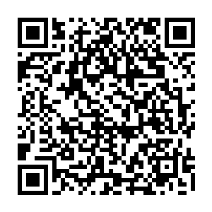 绿蕊叽明明是想用自己还稚嫩的徒有其表根本不具备真正攻击力的花粉吓走他二维码生成