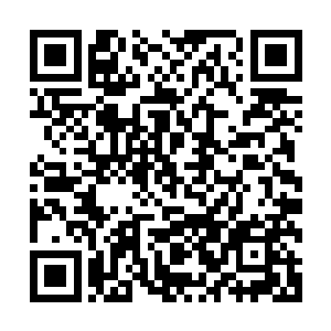 缓缓流淌着血液的双唇还在一遍又一遍的喊着她记忆中的凯凯二维码生成