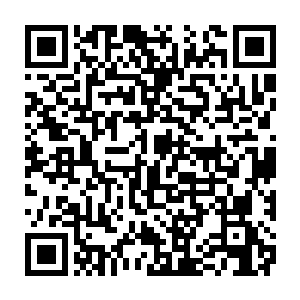 缩在角落里已经瘦的脱了形且被揍的狠的几乎没有人形的李连山有气无力的应着二维码生成