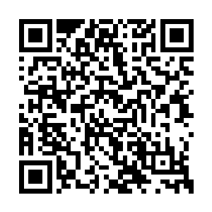 缩小版寒冰巨人此刻实力也已经稳固了差不多了二维码生成