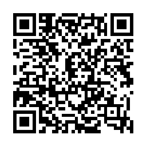 缺乏投资渠道和项目……你可明白了龙族为何要投资于你二维码生成