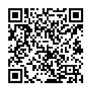 网上一些所谓的专家和武术门派的掌门说你是弄虚作假二维码生成