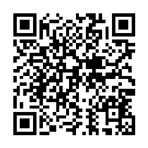 网帖里大量列举了这辆车在三树县和高速公路上的违章记录二维码生成
