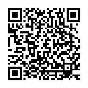 罗伯特也不想为了公事毁掉私谊――不论是珍妮弗还是切萨雷二维码生成