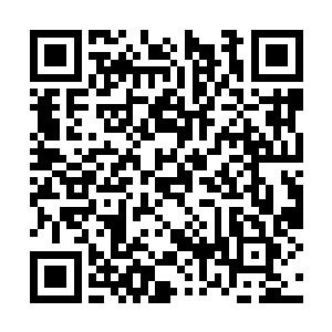 罗伯茨的合同还有明确条款她没有参与宣传的责任二维码生成