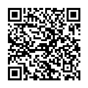 罗卿卿回想起小时候一件又一件和林烽一起度过的日子二维码生成