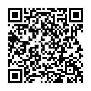 罗多瞪大了一双眼睛满脸不可思议的盯着被击退的塔基护国国师二维码生成