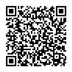 罗密欧早上匆匆跑下车叫醒海登和艾米丽的行为让他们对他大为改观二维码生成