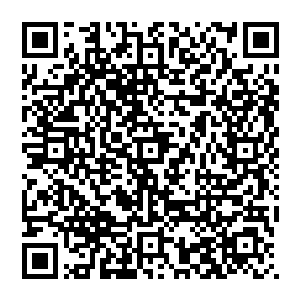 罗思塞已经挥开好几块从天花板上掉下来的画像了――这座宫殿屋顶上密密麻麻镶嵌了各种珠宝以及名画二维码生成