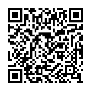 罗敬时也将罗贞红和韩风约定好的消息传播出去二维码生成