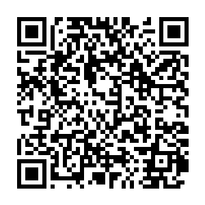 罗杰能遇到你是他的幸运――我很奇怪你以前为什么不演出文艺片二维码生成
