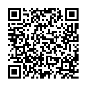 罗林亲眼见到它将湖里的一条三十多米长的淡水鲨鱼一口两段二维码生成