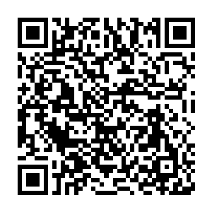罗林现在的躯体和她刚见到那会不到两米长的龙躯完全是天壤之别二维码生成