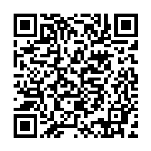 罗林能看到一个个非常模糊的黑影正飞快朝他所在的位置窜过来二维码生成