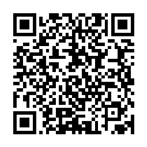 罗林飞在天空的时候可以明显地看到下方的森林变得枯黄一片二维码生成