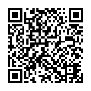 罗梅罗与门萨佣兵团的所有高层 全部守在菲尼斯的病房外二维码生成