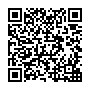 罗森伯格总是从暑期档拿走最大最美味的那块蛋糕二维码生成