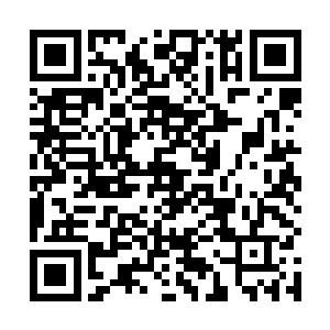 罗森伯格着重描述了总统一直在想着自己的女儿和妻子二维码生成