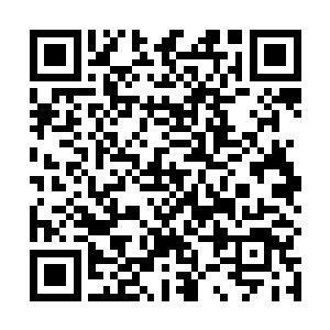 罗楼才不相信贵族议会和联邦追查不到他们的真实身份二维码生成