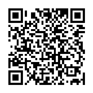 罗生堂带人离开落日客栈之后到现在还没找到落脚的地方二维码生成