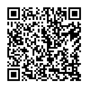 罗生花伸出一片叶子在青壳螃蟹的肚皮往下一点儿的位置比划了一下说道二维码生成