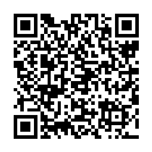 罗霸在长青剑圣面前毫无还手之力的表现让得众人已经确定二维码生成