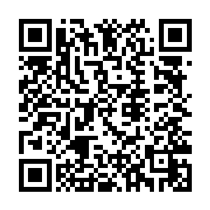 羊脂白玉般晶莹剔透的手掌在花梨木桌子上轻轻一拍二维码生成