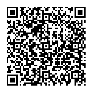 美丽动人的主播介绍起了威尼斯电影节的背景知识――这是考虑到那些对国外漠不关心的观众们二维码生成