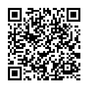美则美矣但是在镇南王这样的人眼底美人的价值远没有权势高二维码生成