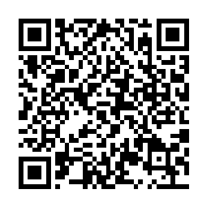 美国媒体或者其它国家的媒体会一边倒的攻击秦洛攻击中医二维码生成