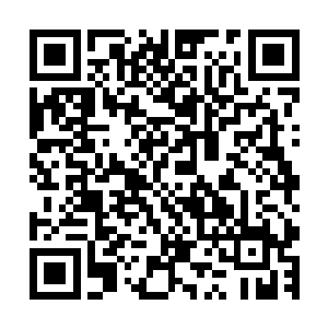 美女刑警不是第一次碰到这种没有嫌疑人没有犯罪动机的案件二维码生成